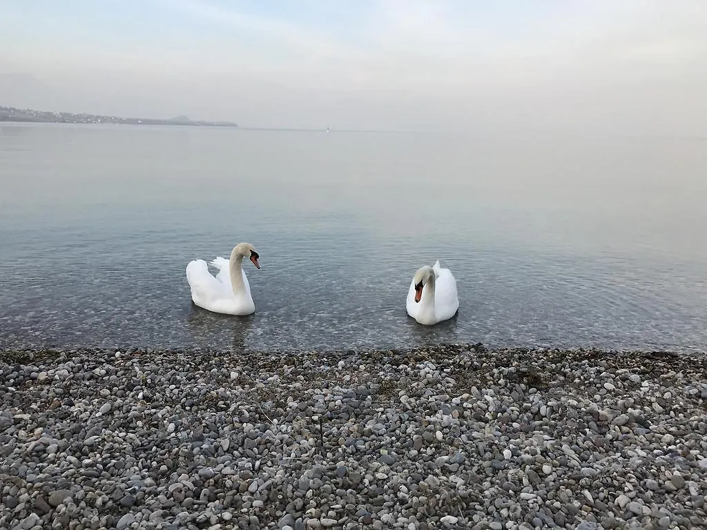 Lägenhetshotell La Giolosa Gardapartments Moniga del Garda